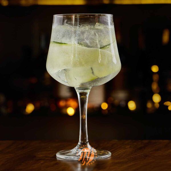 Gin Tonic